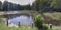 Kątki Pond